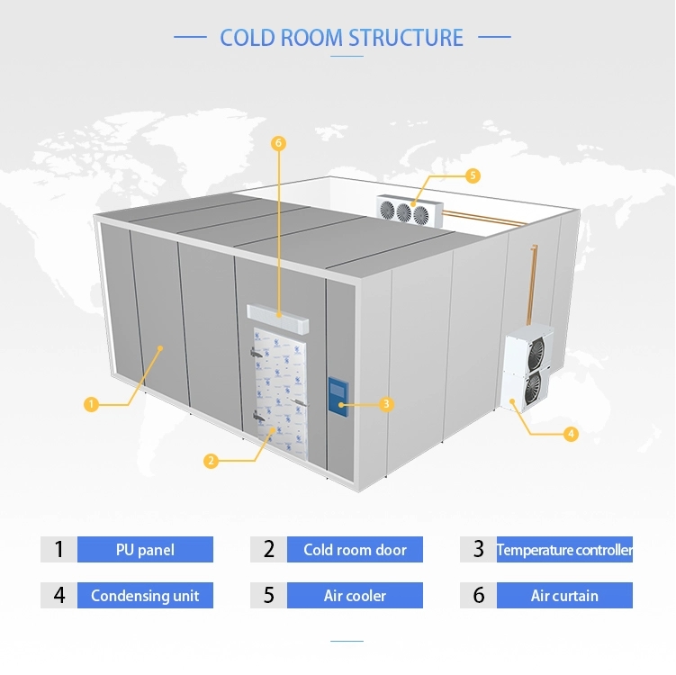 ARTECO Walk-in Freezer, Cold Room for Frozen Meat, Frozen Fish 2