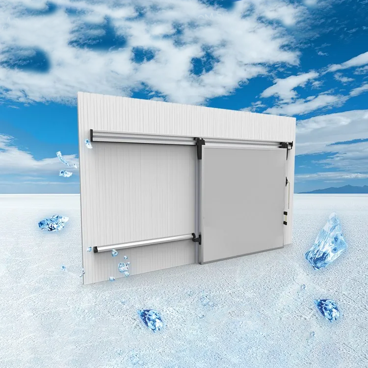 Cold Room Automatic Sliding Door 1