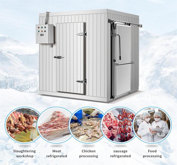 ARTECO Walk-in Freezer, Cold Room for Frozen Meat, Frozen Fish 4