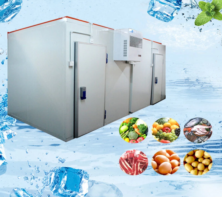 ARTECO Customized Fruit and Vegetable Cold Storage 4